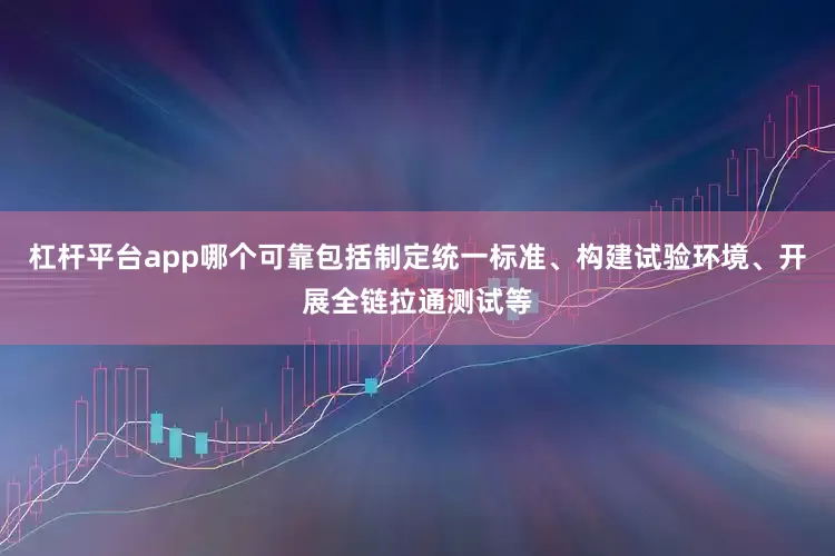 杠杆平台app哪个可靠包括制定统一标准、构建试验环境、开展全链拉通测试等