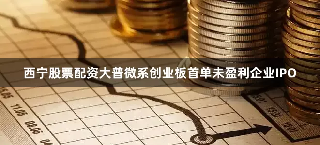 西宁股票配资大普微系创业板首单未盈利企业IPO