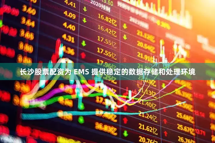 长沙股票配资为 EMS 提供稳定的数据存储和处理环境