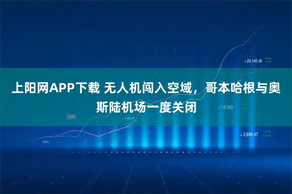 上阳网APP下载 无人机闯入空域，哥本哈根与奥斯陆机场一度关闭