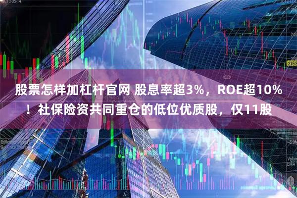 股票怎样加杠杆官网 股息率超3%，ROE超10%！社保险资共同重仓的低位优质股，仅11股